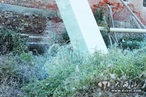 隔壁工厂粉尘“毒死”鱼塘万斤鱼?