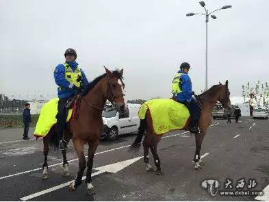 法方12万警力护航气候变化大会,会场外高大帅气的骑警