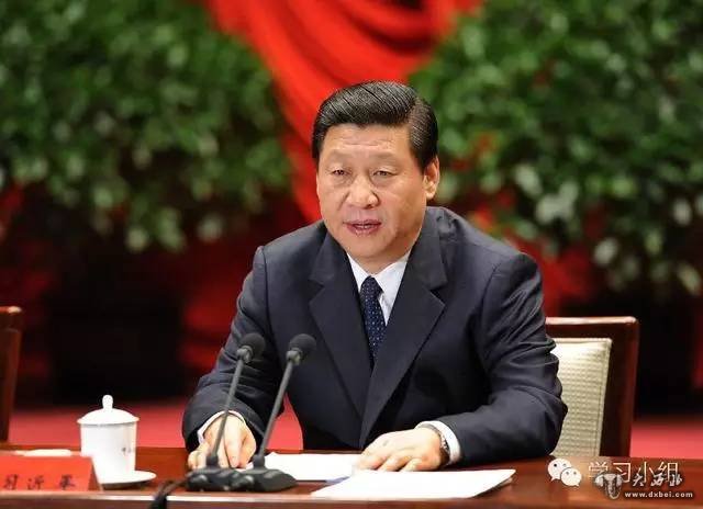 习总说,中国南非要做“四种伙伴”