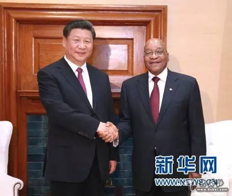 喂大象、谈国事:习近平与非洲的多维度亲密接触