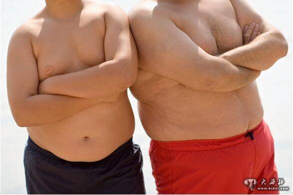 科学研究发现：“一胖毁三代”可能真不是开玩笑