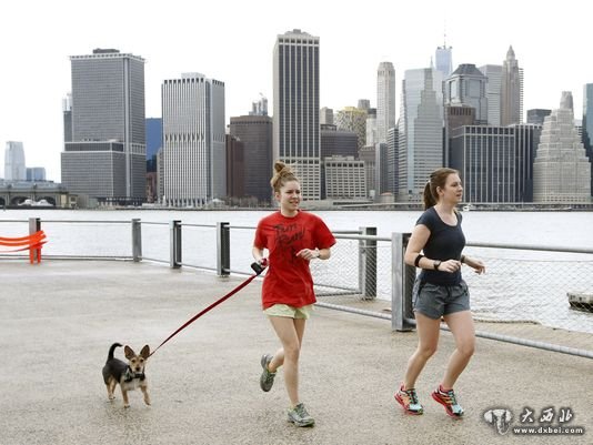 短袖过圣诞：美东多地平安夜当天气温破纪录（图）