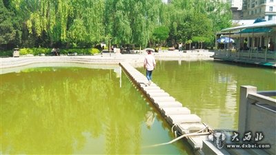 芳草园人工湖水 半清半浑被污染?