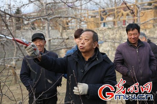 李保国教授讲授技术通俗易懂,深受果农欢迎