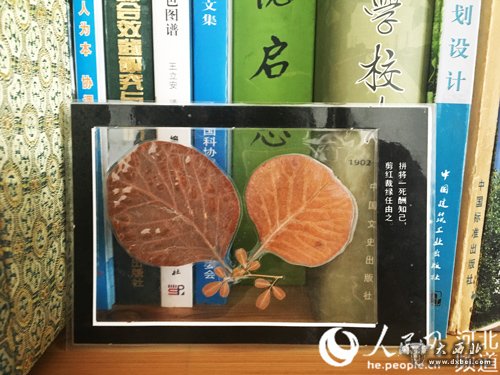在李保国教授家里的书柜上,一个压膜封存的叶子标本已经放了很多年,在标本旁可以清晰地看到两行字——拼将一死酬知己,裁红剪绿任由之