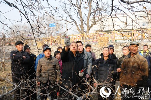2016年1月27日,李保国为果农讲解果树冬季修剪技术
