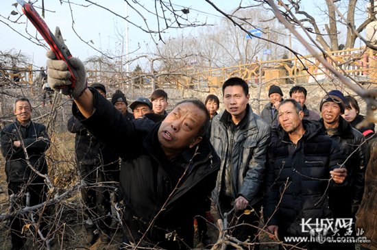 李保国向果农讲授果树种植方法