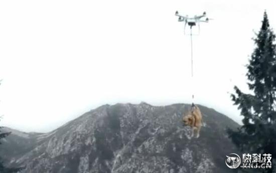 男子用无人机遛狗:结果失控狗狗“腾空而去”