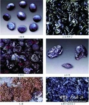 专家考古证实：汉代吃火锅撸串儿喝酒很流行