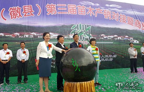 中国陇南(徽县)第三届苗木产销对接暨商贸洽谈会开幕