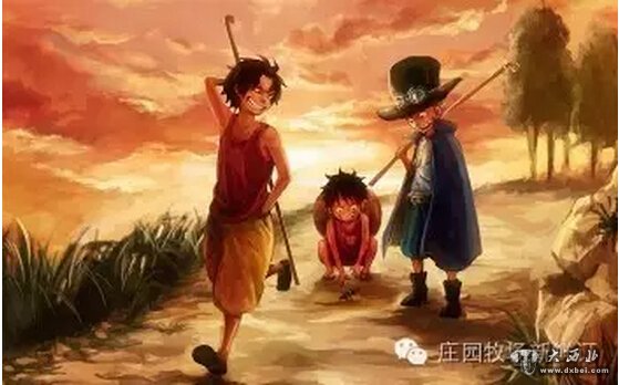 没福利,不国庆!!!