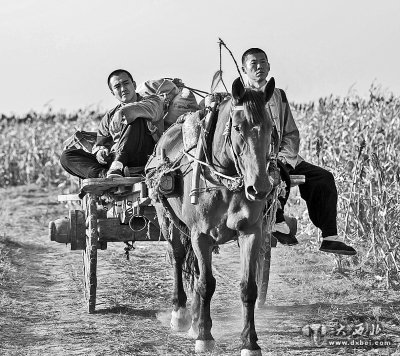 现实题材成为电视剧创作重镇 现实题材成为电视剧创作重镇