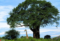 意味深长!刚刚,习近