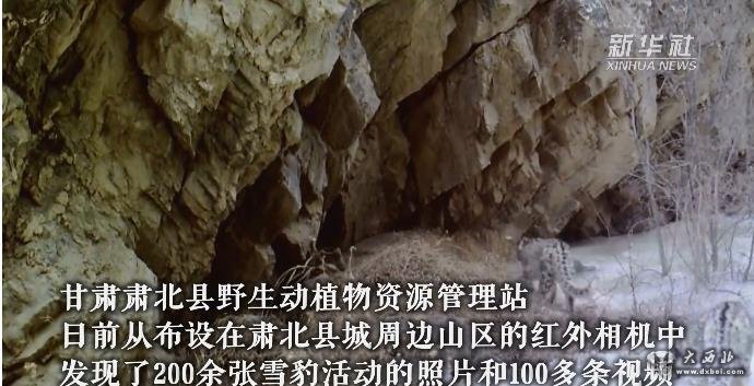 【视频】甘肃肃北县城