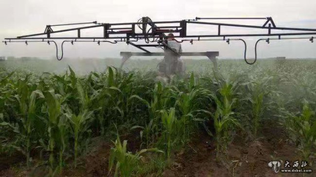 永昌县崛起万亩戈壁农