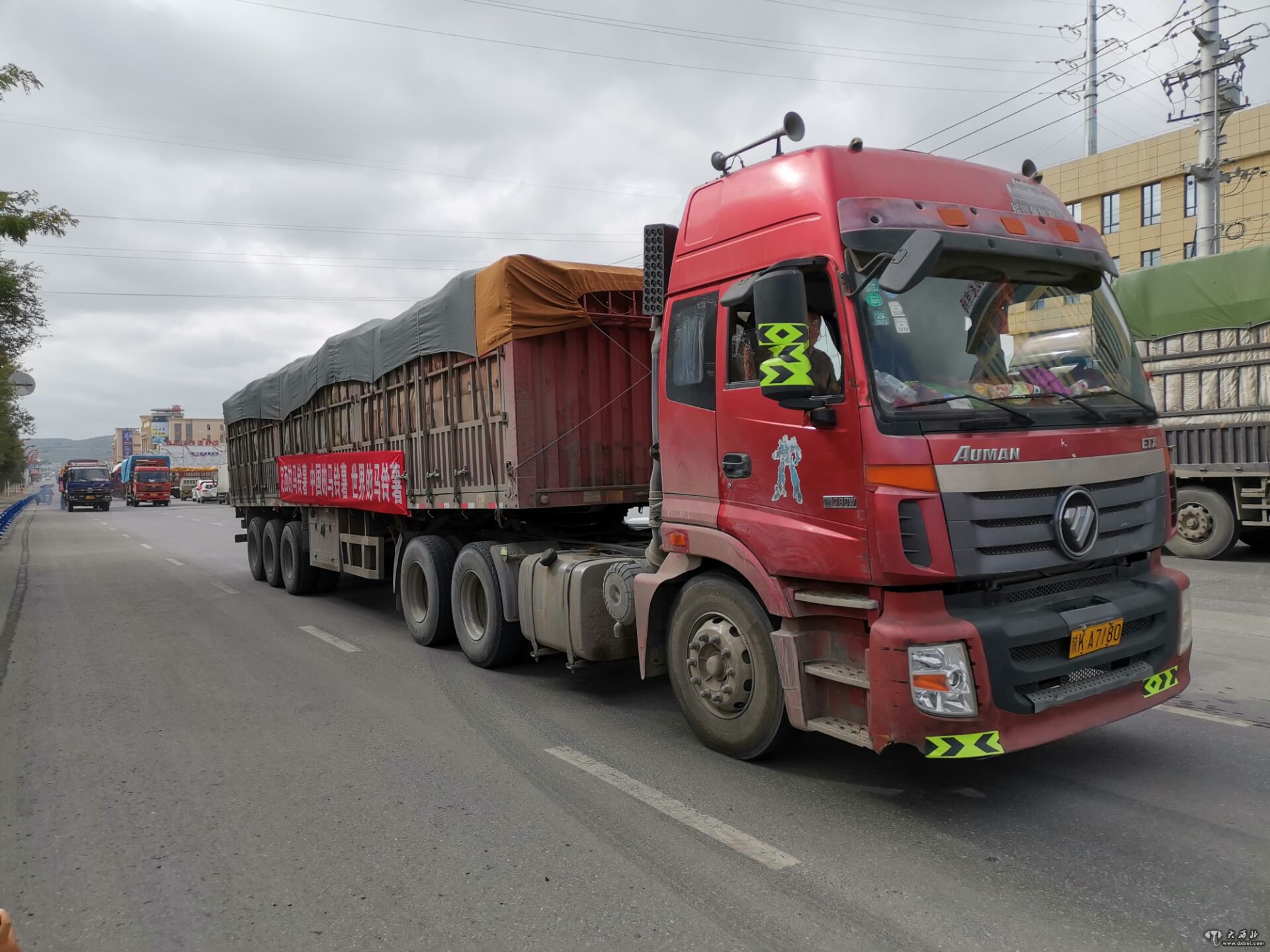 定西1000多吨马铃薯销往