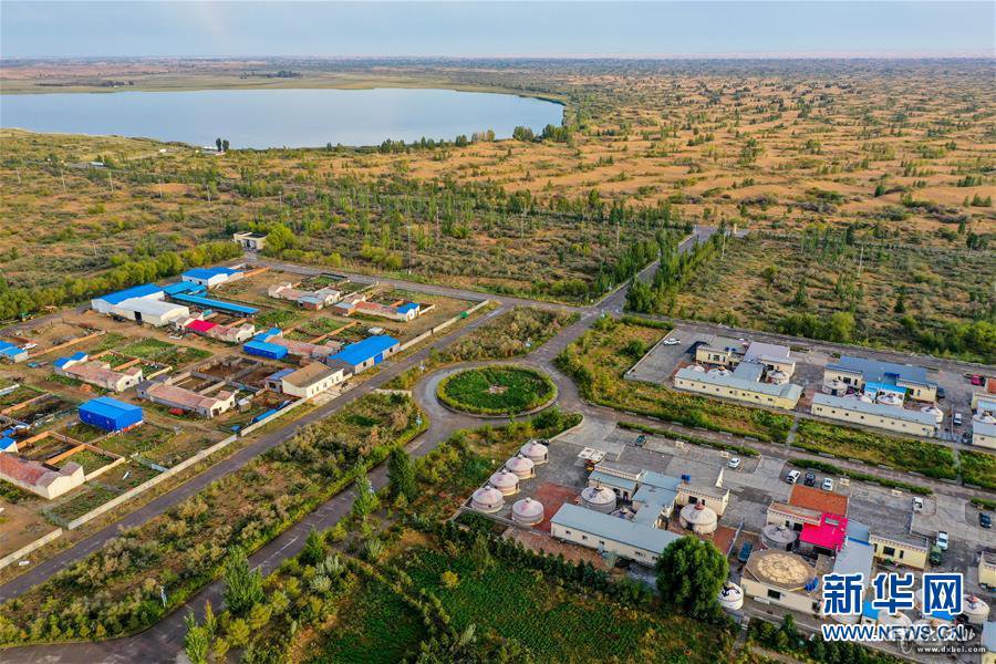 绿意,在黄沙中铺展—