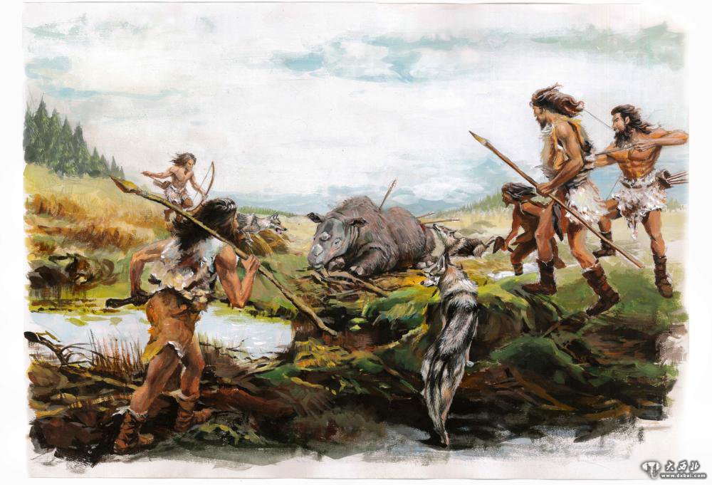 研究发现:热带牛科动