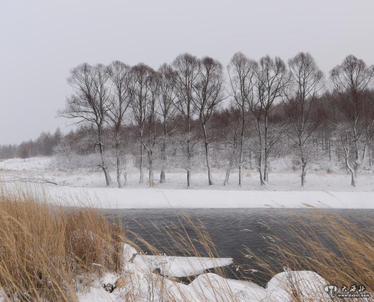 今冬还会有多冷?