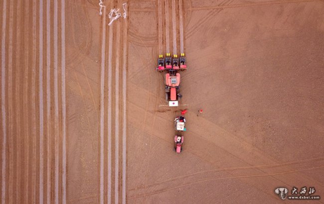 甘肃张掖:谷雨时节“