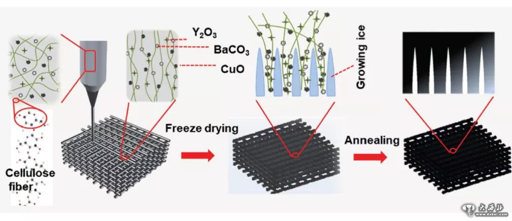 独家浆料+3D打印,兰大