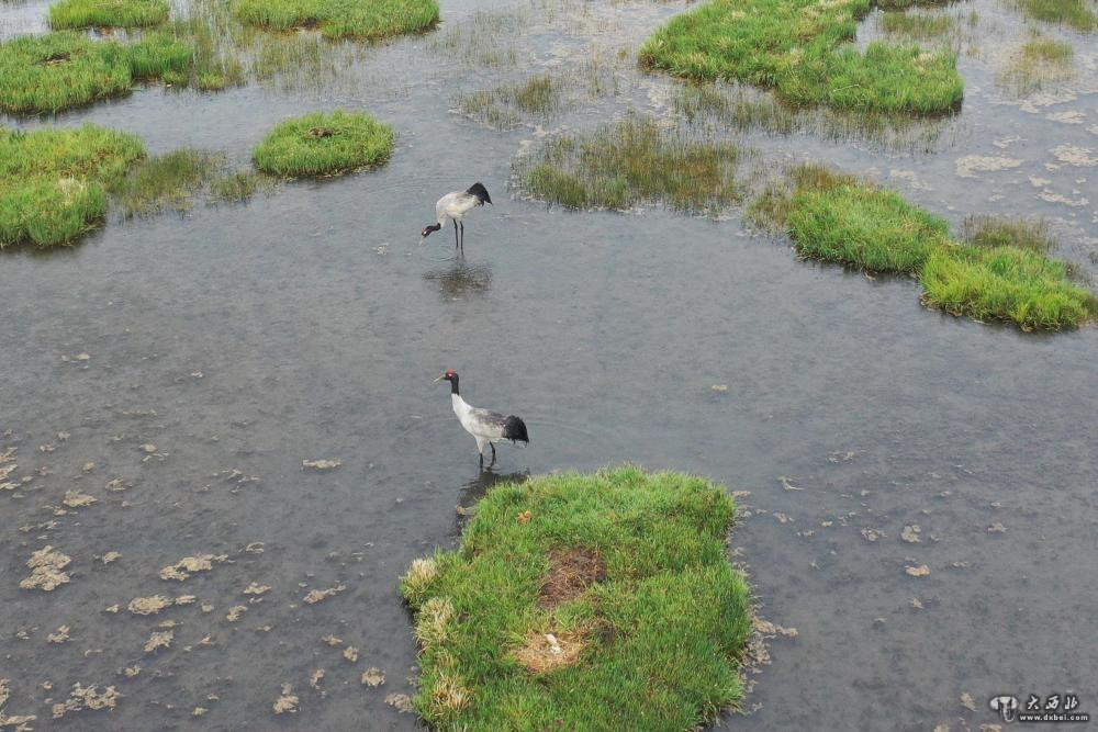你看,青藏高原的“眼