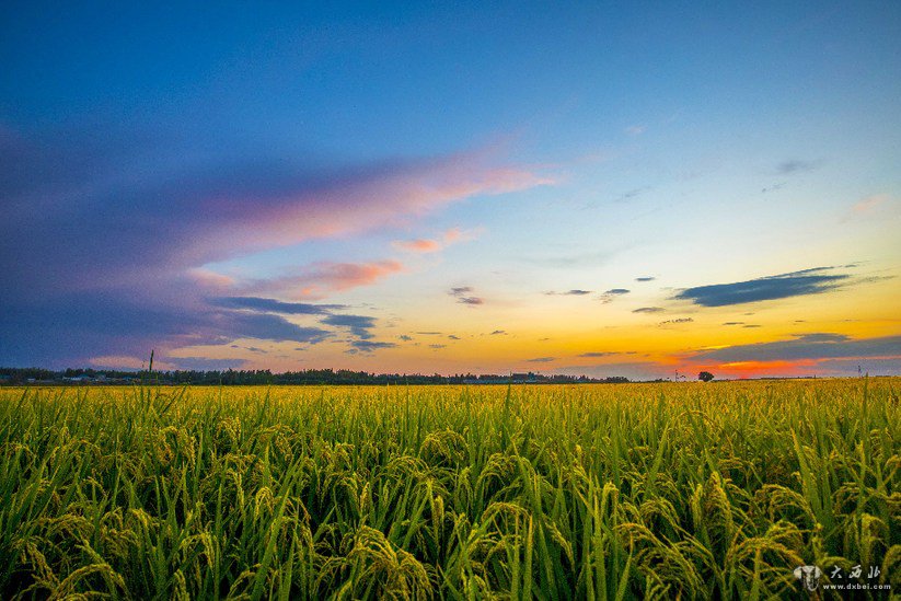 新疆察布查尔:秋色染