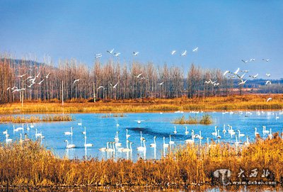 黄河实现连续22年不断