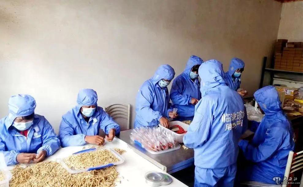 临洮县窑店镇:持续做