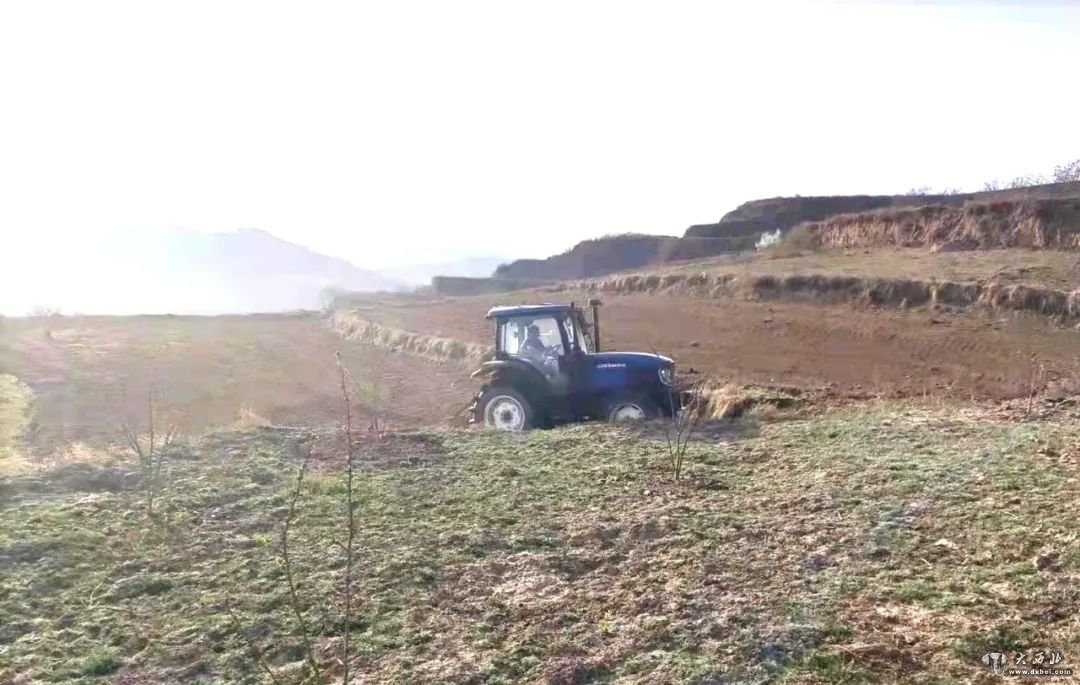 天水:“唤醒”撂荒地