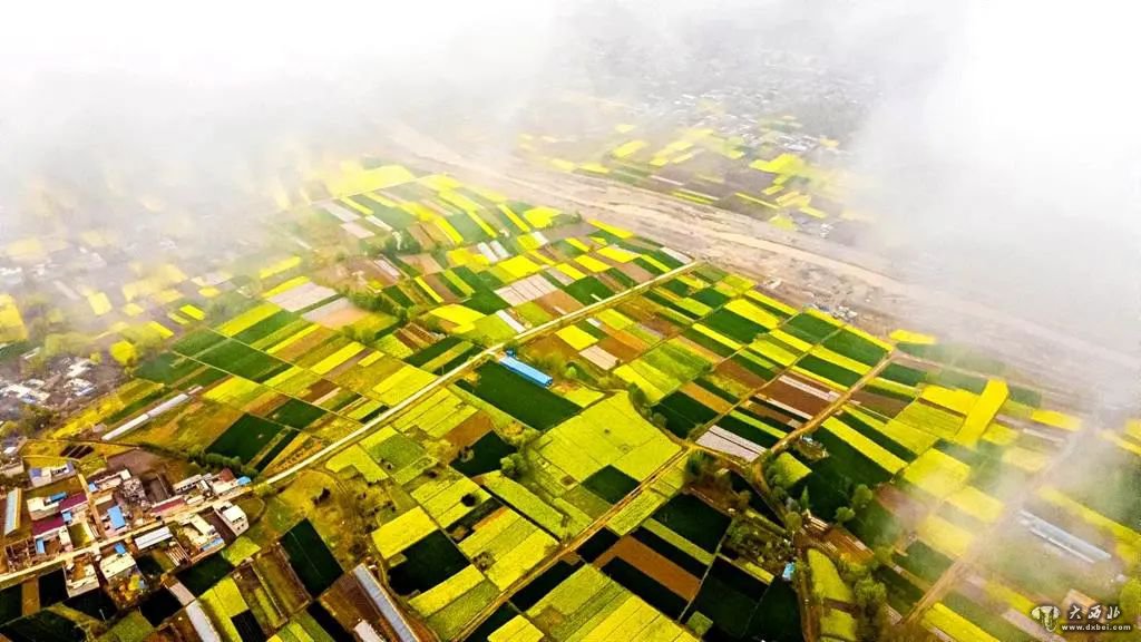 武山:万亩油菜花盛开(