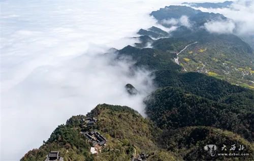 成县:鸡峰山云海如仙