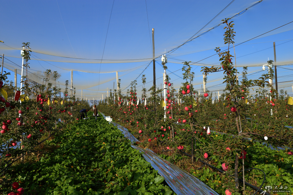 奋进新征程建功新时代