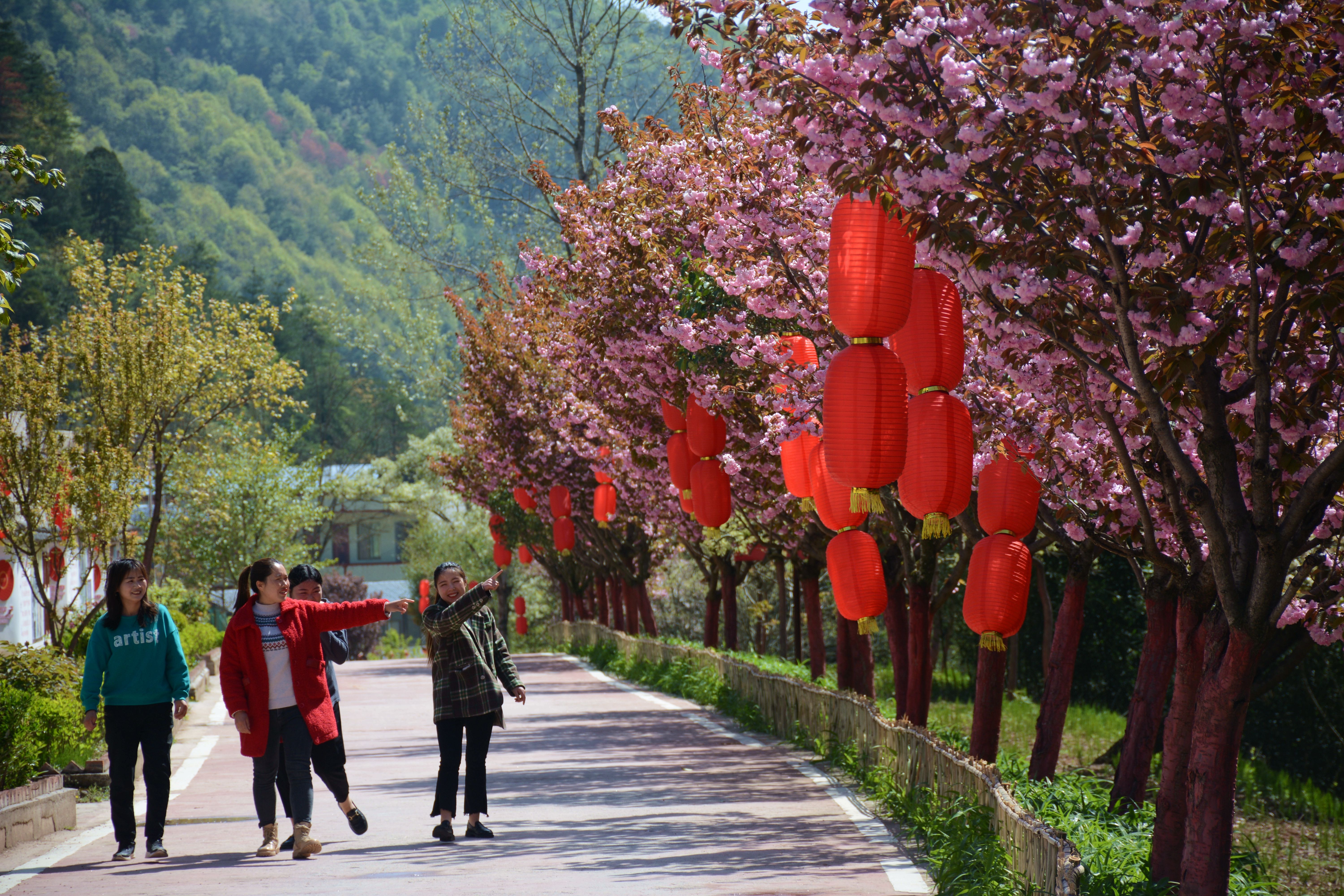 甘肃成县：鸡峰山麓乡