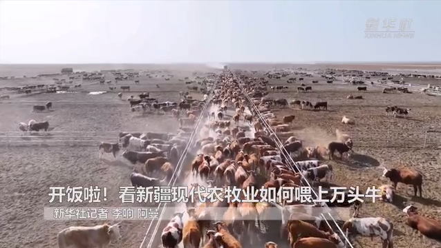 开饭啦!看新疆现代农