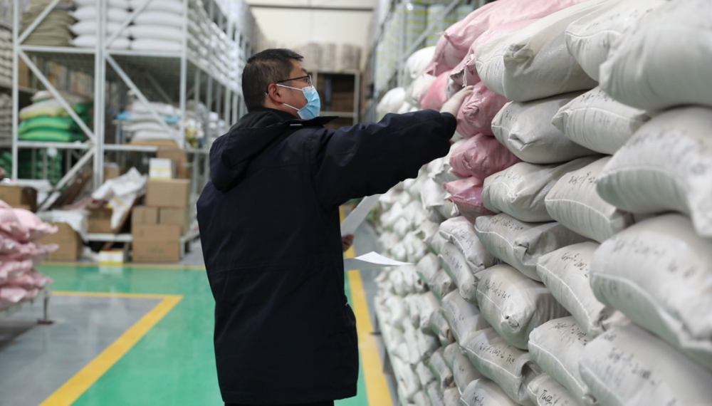 河西走廊蔬菜花卉外繁