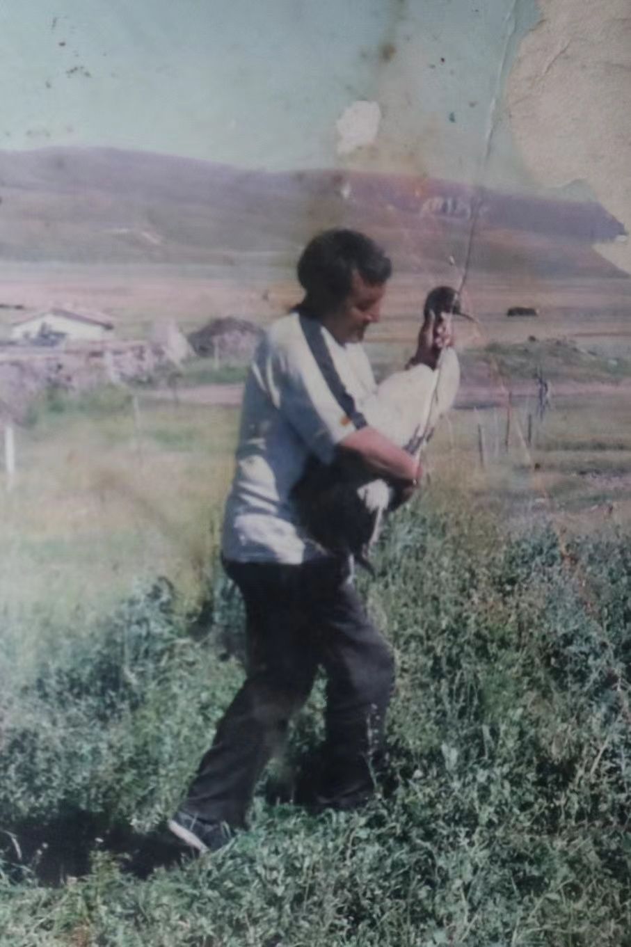 甘南湿地鸟归来:一位