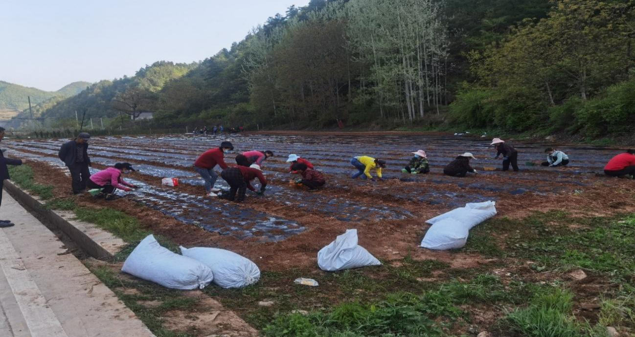 青岛城阳陇南成县千里