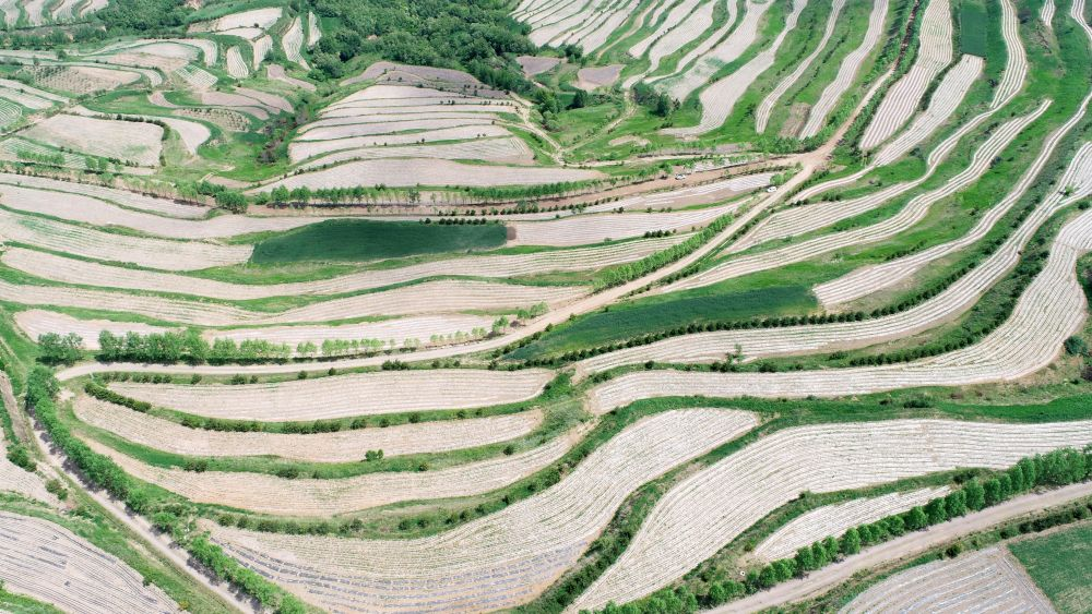 甘肃庄浪：旱作农业长