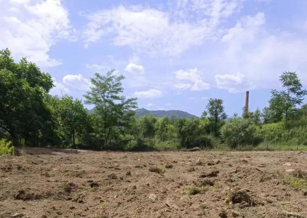 成县黄渚镇:全镇撂荒