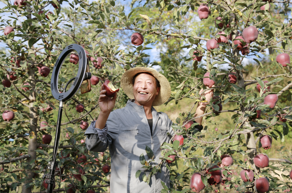 甘肃省陇南市电子商务