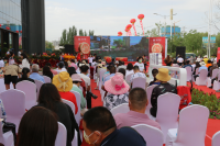 文化引领地产:张掖蔚