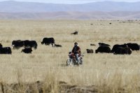 青海黄南:“守绿生金