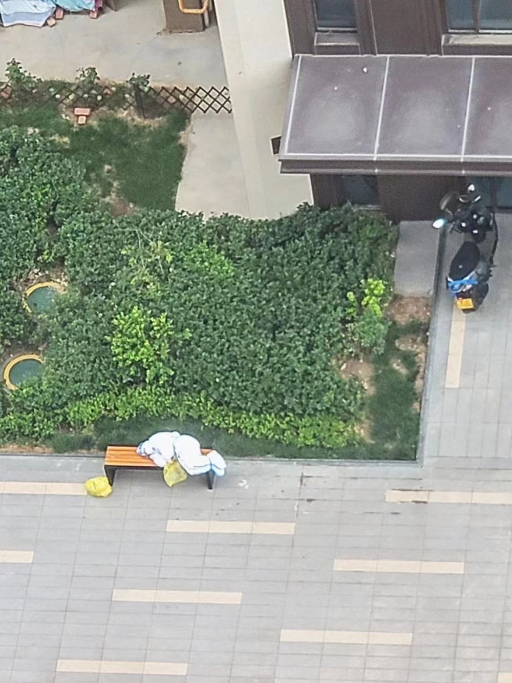 远道而来,他们接力坚