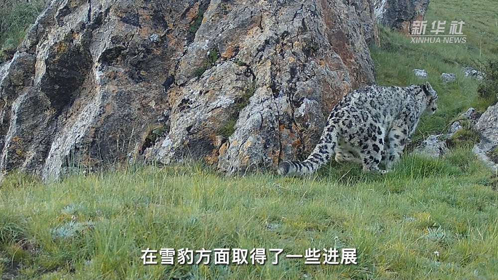 守望12年50位科研人员在