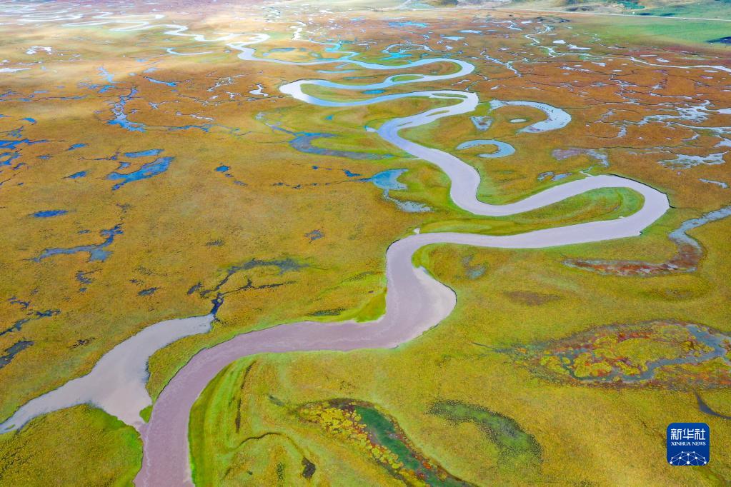 甘肃玛曲:保护草原生