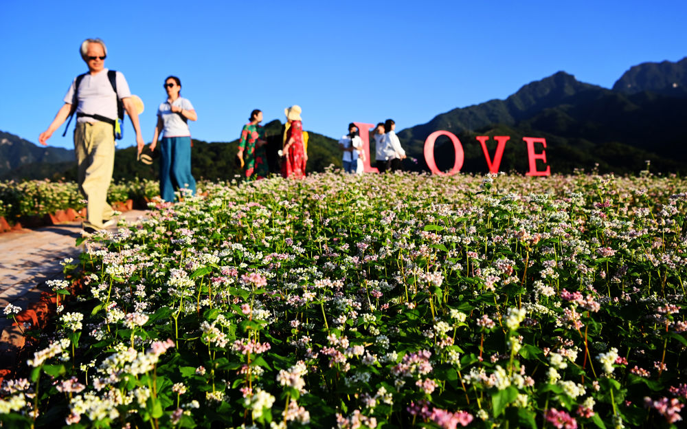 西安:发展“农业景区