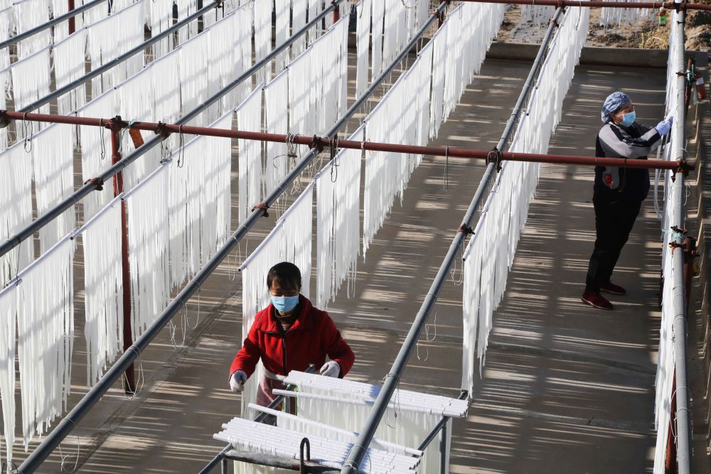 甘肃定西:马铃薯粉条