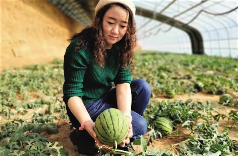 靖远刘川反季大棚西瓜