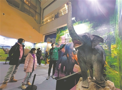 国家动物博物馆恢复开